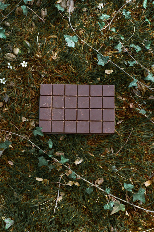 Lion's Mane Cacao Blend