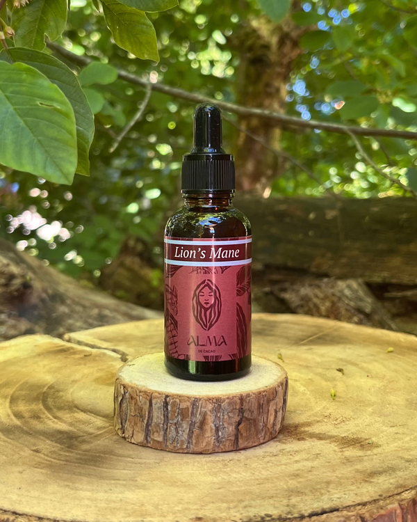 Lion's Mane Extract