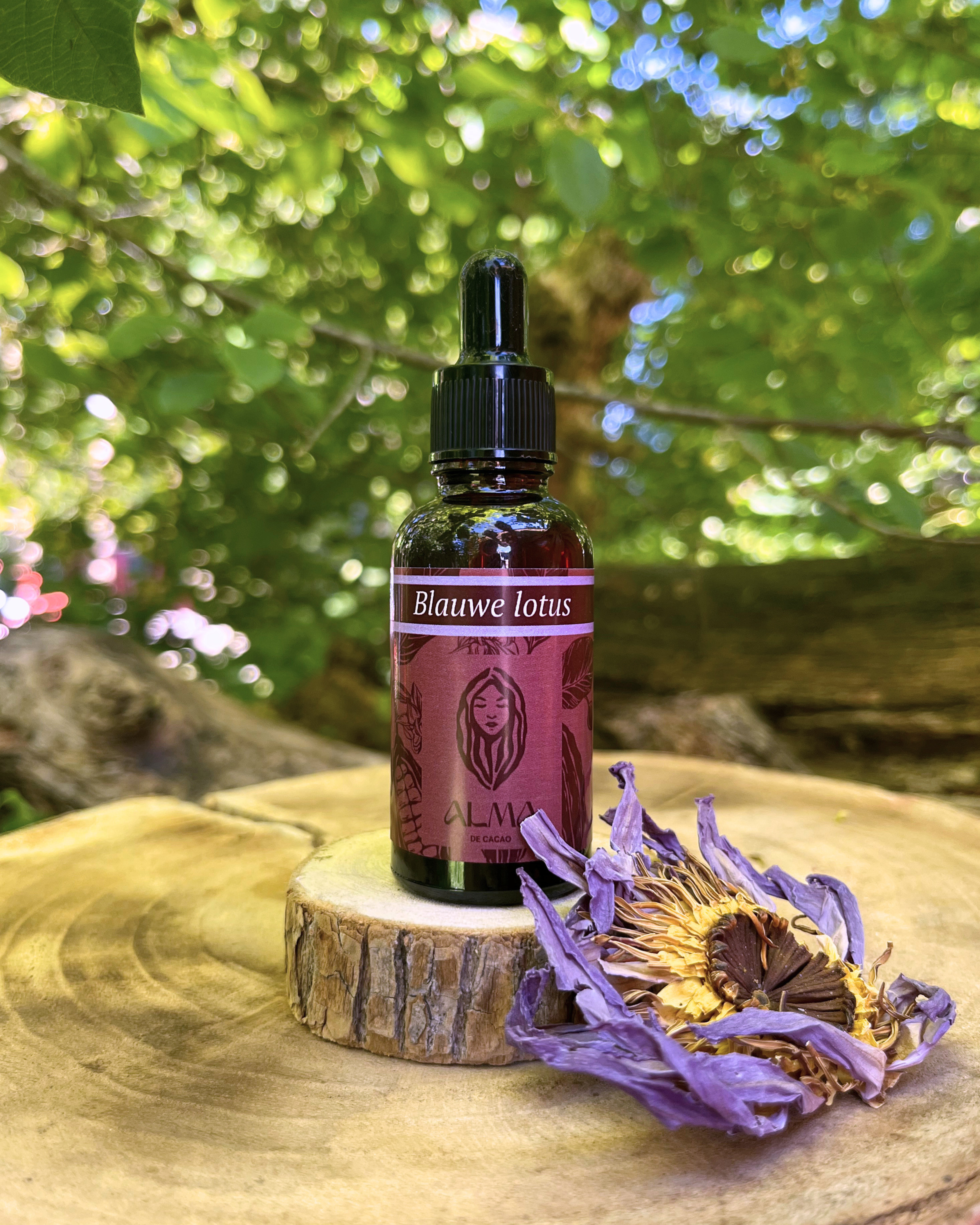 Blauwe Lotus Extract